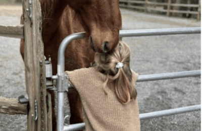 Screenshot-equine-assisted-learning1